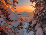 Winter sunset
