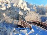 Bridge in Winter