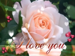 Love rose