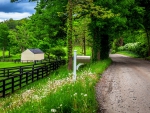 Country Road in Spring