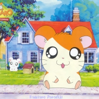 Hamtaro