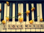 I Love Music