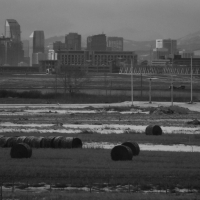 Hay rolls, skyscrapers and Rockies