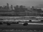 Hay rolls, skyscrapers and Rockies