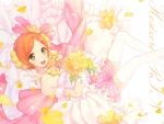 Rin hoshizora