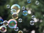 Bubbles