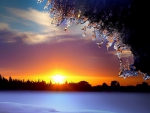 Winter Sunset