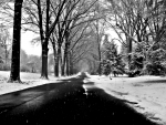 winter road