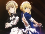 Fate Stay Maid