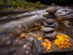 *Stone composition beside the creek*