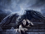 Fallen Angel in Rain