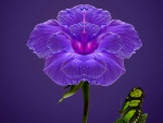 Beautiful Purple Flower