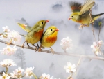 Lovely Birds
