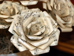Musical Flowers