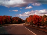 Fall Road Trip