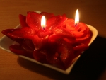 RED ROSES OF CANDLES