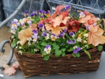 Beautiful basket