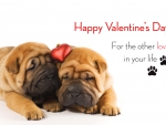 PUPPY VALENTINE