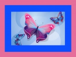Wings in pink and blue