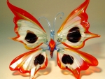 Glass butterfly - 3