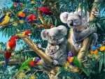 â˜…Koala Familyâ˜…