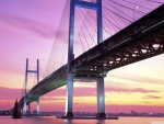 Yokohama Bridge