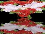Doves and Roses Reflection