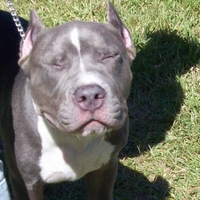 The Sun is in my eyes