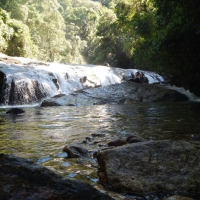 Raining Forest River, Brazil