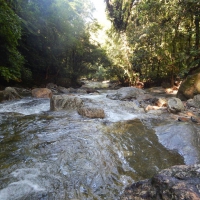 Copper River Rip Tide, Brazil