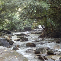 Rio da Pedra Lisa, Sao Paulo, Brasil