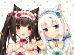 Neko Para