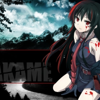Akame ga kill