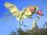 Love of White Egrets