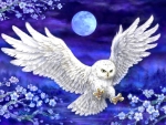Moonlight White Owl