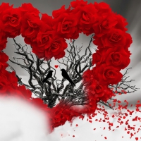 Give love a chance...â™¡