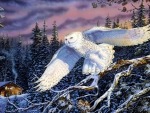 SNOW OWL