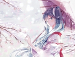 Snow Sakura