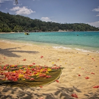 Bora Bora Paradise Tropical Beach South Pacific