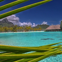 Dream Paradise Beach