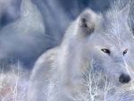 winter wolf