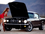 mustang