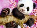 Panda in Spring