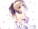 Saber Lily