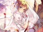 Saber Bride