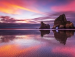 Wharariki Beach