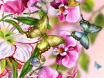 BUTTERFLIES AND ORCHIDS