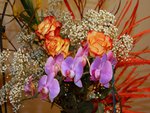Orange Red Roses and Orchids