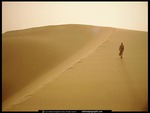 Desert Walk