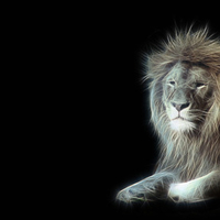 Lion Fractal